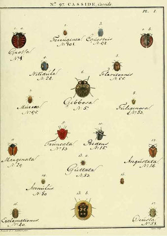 Reproducción/Reproduction 35055516223: Entomologie, ou, Histoire naturelle des insectes :. A Paris :De l'Imprimerie de Baudoin,1789-1808.