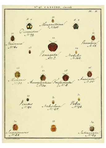 Reproducción/Reproduction 35055518893: Entomologie, ou, Histoire naturelle des insectes :. A Paris :De l'Imprimerie de Baudoin,1789-1808.