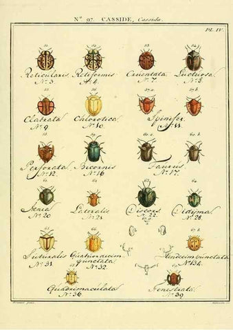 Reproducción/Reproduction 35864870105: Entomologie, ou, Histoire naturelle des insectes :. A Paris :De l'Imprimerie de Baudoin,1789-1808.