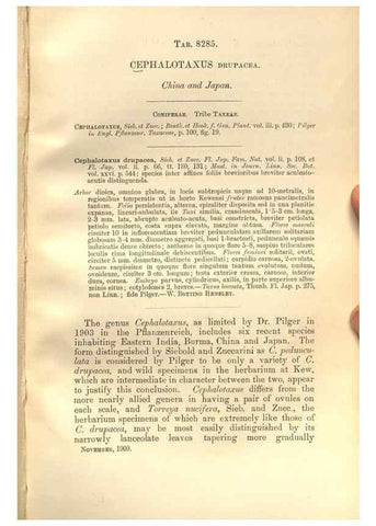 Reproducción/Reproduction 35884257242: Curtis's botanical magazine.. London ; New York [etc.] :Academic Press [etc.]
