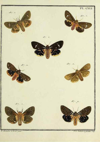 Reproducción/Reproduction 35730994991: Papillons d'Europe, peints d'après nature /. A Paris :Chez P.M. Delaguette, imprimeur-libraire ... ;1779-1792 [i.e. 1793]