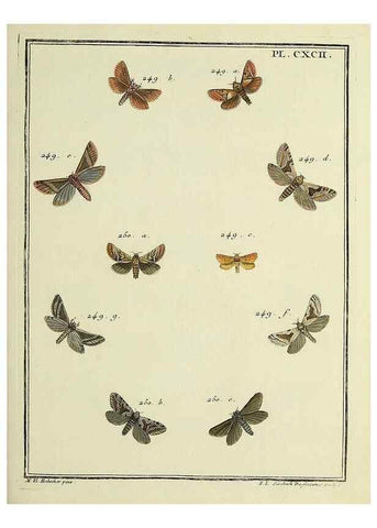 Reproducción/Reproduction 35023056444: Papillons d'Europe, peints d'après nature /. A Paris :Chez P.M. Delaguette, imprimeur-libraire ... ;1779-1792 [i.e. 1793]