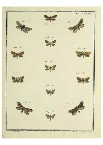 Reproducción/Reproduction 35023060734: Papillons d'Europe, peints d'après nature /. A Paris :Chez P.M. Delaguette, imprimeur-libraire ... ;1779-1792 [i.e. 1793]