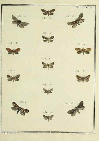 Reproducción/Reproduction 35023060734: Papillons d'Europe, peints d'après nature /. A Paris :Chez P.M. Delaguette, imprimeur-libraire ... ;1779-1792 [i.e. 1793]