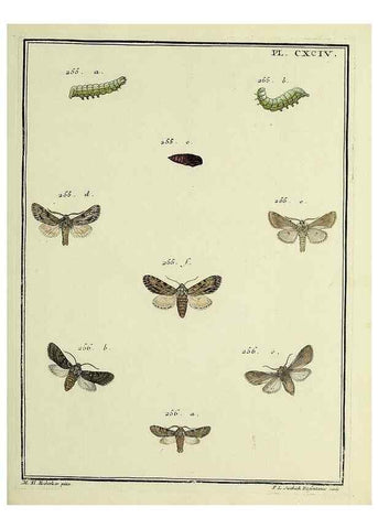 Reproducción/Reproduction 35023065054: Papillons d'Europe, peints d'après nature /. A Paris :Chez P.M. Delaguette, imprimeur-libraire ... ;1779-1792 [i.e. 1793]