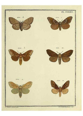 Reproducción/Reproduction 35053509323: Papillons d'Europe, peints d'après nature /. A Paris :Chez P.M. Delaguette, imprimeur-libraire ... ;1779-1792 [i.e. 1793]