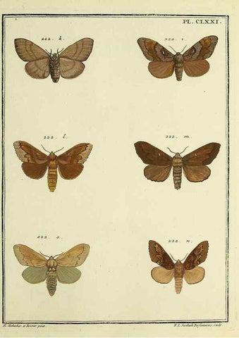 Reproducción/Reproduction 35053509323: Papillons d'Europe, peints d'après nature /. A Paris :Chez P.M. Delaguette, imprimeur-libraire ... ;1779-1792 [i.e. 1793]
