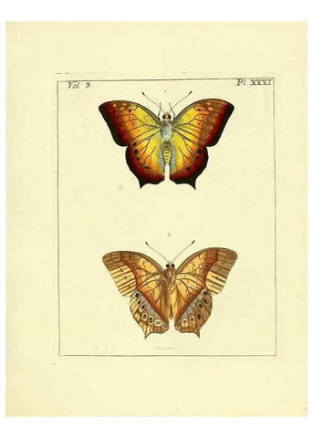 Reproducción/Reproduction 35862106935: Illustrations of natural history.. London,Printed for the author and sold by B. White,1770-82.