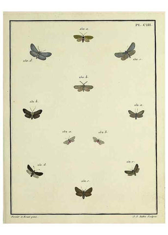 Reproducción/Reproduction 35474937120: Papillons d'Europe, peints d'après nature /. A Paris :Chez P.M. Delaguette, imprimeur-libraire ... ;1779-1792 [i.e. 1793]