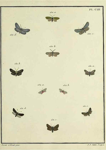 Reproducción/Reproduction 35474937120: Papillons d'Europe, peints d'après nature /. A Paris :Chez P.M. Delaguette, imprimeur-libraire ... ;1779-1792 [i.e. 1793]