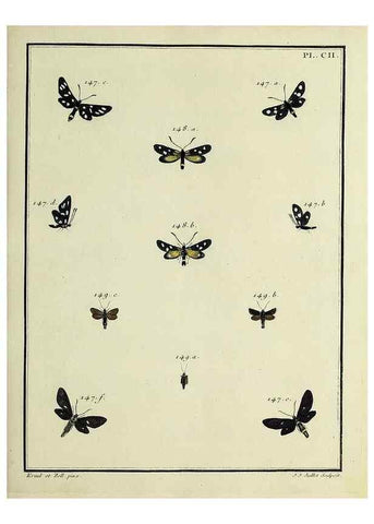 Reproducción/Reproduction 35053363353: Papillons d'Europe, peints d'après nature /. A Paris :Chez P.M. Delaguette, imprimeur-libraire ... ;1779-1792 [i.e. 1793]