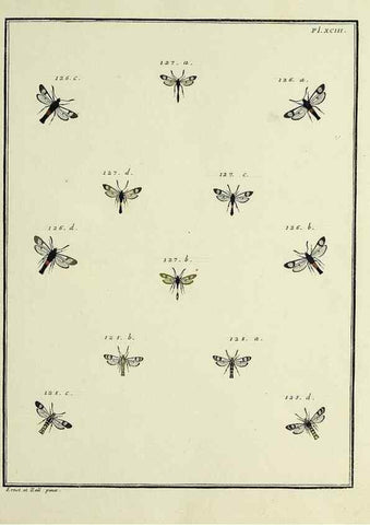 Reproducción/Reproduction 35022853104: Papillons d'Europe, peints d'après nature /. A Paris :Chez P.M. Delaguette, imprimeur-libraire ... ;1779-1792 [i.e. 1793]