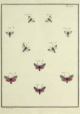 Reproducción/Reproduction 35693448862: Papillons d'Europe, peints d'après nature /. A Paris :Chez P.M. Delaguette, imprimeur-libraire ... ;1779-1792 [i.e. 1793]