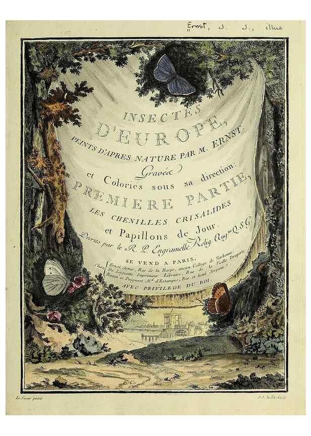 Reproducción/Reproduction 35863628985: Papillons d'Europe, peints d'après nature /. A Paris :Chez P.M. Delaguette, imprimeur-libraire ... ;1779-1792 [i.e. 1793]