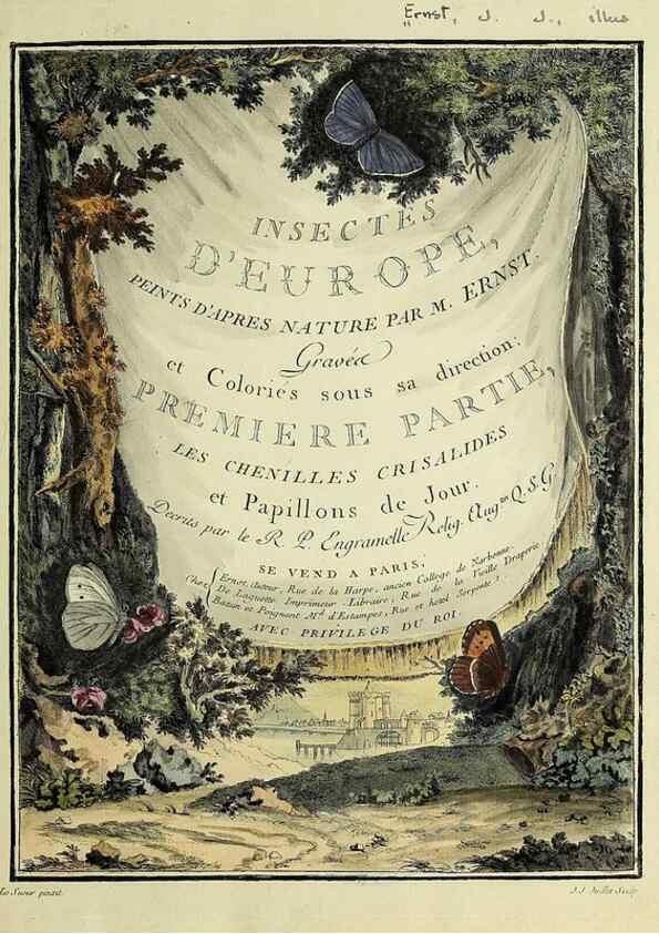 Reproducción/Reproduction 35863628985: Papillons d'Europe, peints d'après nature /. A Paris :Chez P.M. Delaguette, imprimeur-libraire ... ;1779-1792 [i.e. 1793]