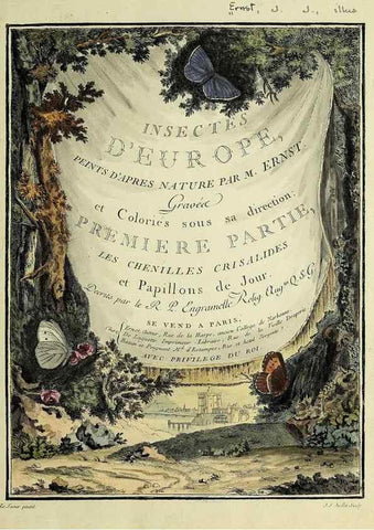 Reproducción/Reproduction 35863628985: Papillons d'Europe, peints d'après nature /. A Paris :Chez P.M. Delaguette, imprimeur-libraire ... ;1779-1792 [i.e. 1793]