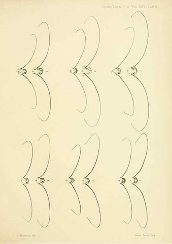 Reproducción/Reproduction 35023974074: On the phenomena of variation and geographical distribution as illustrated by the Papilionidae of the Malayan region.. London,1865