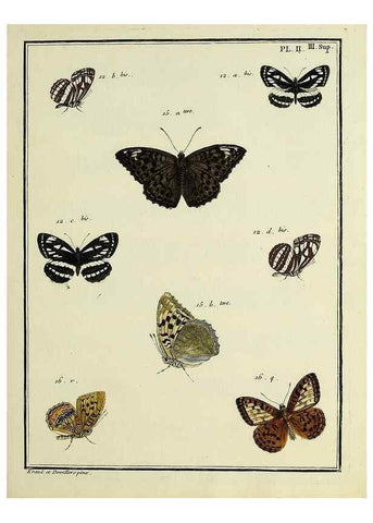 Reproducción/Reproduction 35054215633: Papillons d'Europe, peints d'après nature /. A Paris :Chez P.M. Delaguette, imprimeur-libraire ... ;1779-1792 [i.e. 1793]