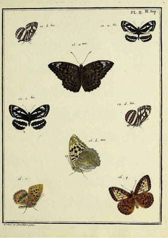 Reproducción/Reproduction 35054215633: Papillons d'Europe, peints d'après nature /. A Paris :Chez P.M. Delaguette, imprimeur-libraire ... ;1779-1792 [i.e. 1793]