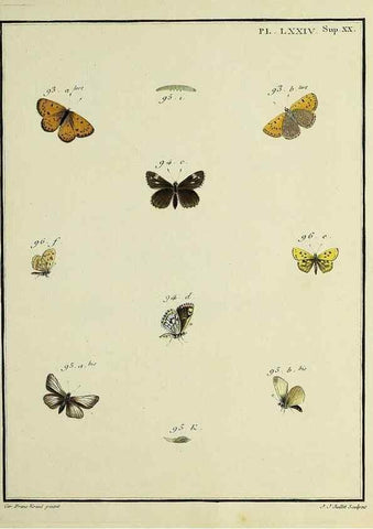 Reproducción/Reproduction 35694339242: Papillons d'Europe, peints d'après nature /. A Paris :Chez P.M. Delaguette, imprimeur-libraire ... ;1779-1792 [i.e. 1793]