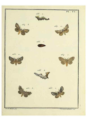 Reproducción/Reproduction 35693657332: Papillons d'Europe, peints d'après nature /. A Paris :Chez P.M. Delaguette, imprimeur-libraire ... ;1779-1792 [i.e. 1793]