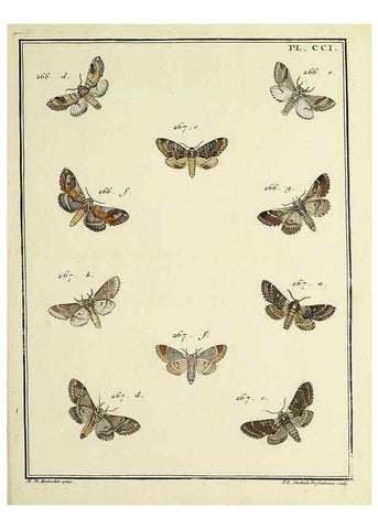 Reproducción/Reproduction 35693658272: Papillons d'Europe, peints d'après nature /. A Paris :Chez P.M. Delaguette, imprimeur-libraire ... ;1779-1792 [i.e. 1793]