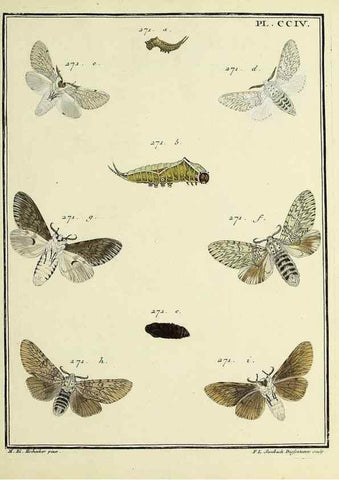 Reproducción/Reproduction 35693661762: Papillons d'Europe, peints d'après nature /. A Paris :Chez P.M. Delaguette, imprimeur-libraire ... ;1779-1792 [i.e. 1793]