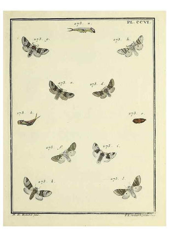 Reproducción/Reproduction 35731135401: Papillons d'Europe, peints d'après nature /. A Paris :Chez P.M. Delaguette, imprimeur-libraire ... ;1779-1792 [i.e. 1793]