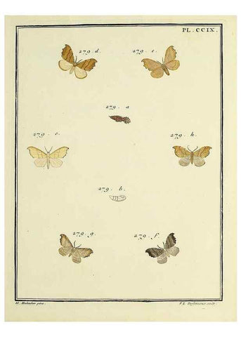 Reproducción/Reproduction 35475122030: Papillons d'Europe, peints d'après nature /. A Paris :Chez P.M. Delaguette, imprimeur-libraire ... ;1779-1792 [i.e. 1793]