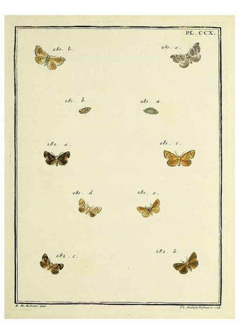 Reproducción/Reproduction 35475124500: Papillons d'Europe, peints d'après nature /. A Paris :Chez P.M. Delaguette, imprimeur-libraire ... ;1779-1792 [i.e. 1793]