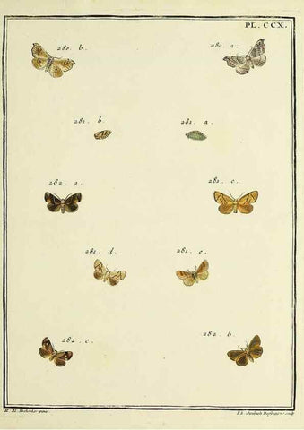 Reproducción/Reproduction 35475124500: Papillons d'Europe, peints d'après nature /. A Paris :Chez P.M. Delaguette, imprimeur-libraire ... ;1779-1792 [i.e. 1793]