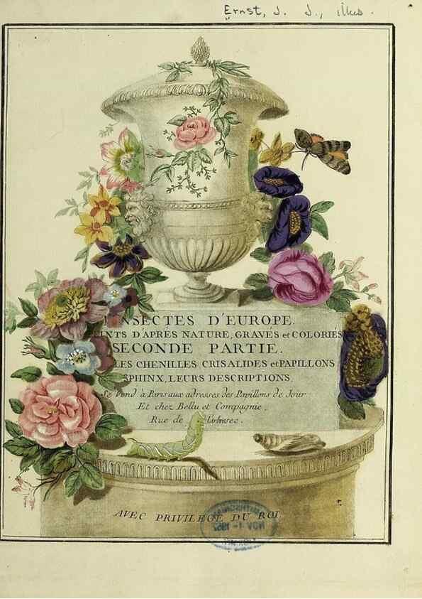 Reproducción/Reproduction 35731296581: Papillons d'Europe, peints d'après nature /. A Paris :Chez P.M. Delaguette, imprimeur-libraire ... ;1779-1792 [i.e. 1793]