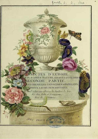 Reproducción/Reproduction 35731296581: Papillons d'Europe, peints d'après nature /. A Paris :Chez P.M. Delaguette, imprimeur-libraire ... ;1779-1792 [i.e. 1793]