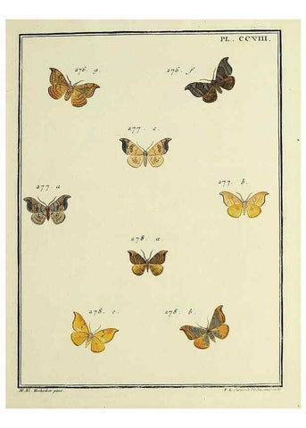 Reproducción/Reproduction 35731138501: Papillons d'Europe, peints d'après nature /. A Paris :Chez P.M. Delaguette, imprimeur-libraire ... ;1779-1792 [i.e. 1793]