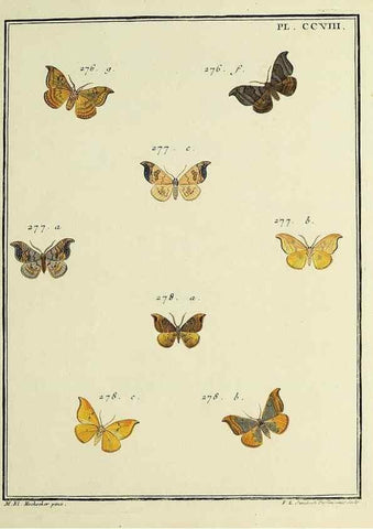 Reproducción/Reproduction 35731138501: Papillons d'Europe, peints d'après nature /. A Paris :Chez P.M. Delaguette, imprimeur-libraire ... ;1779-1792 [i.e. 1793]
