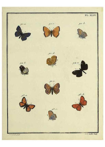 Reproducción/Reproduction 35822825766: Papillons d'Europe, peints d'après nature /. A Paris :Chez P.M. Delaguette, imprimeur-libraire ... ;1779-1792 [i.e. 1793]