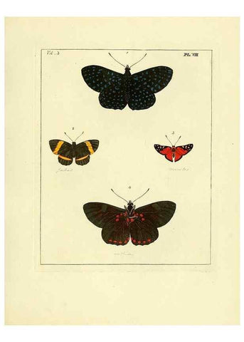 Reproducción/Reproduction 35692819632: Illustrations of natural history.. London,Printed for the author and sold by B. White,1770-82.