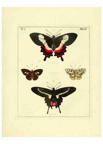 Reproducción/Reproduction 35692821292: Illustrations of natural history.. London,Printed for the author and sold by B. White,1770-82.