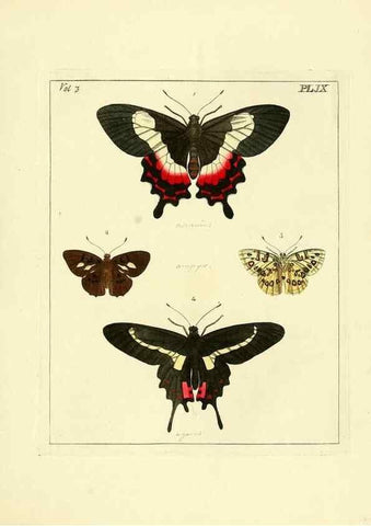 Reproducción/Reproduction 35692821292: Illustrations of natural history.. London,Printed for the author and sold by B. White,1770-82.