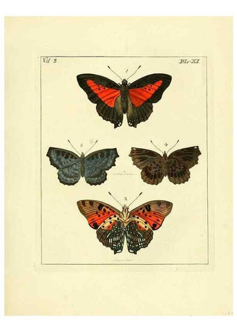 Reproducción/Reproduction 35692825522: Illustrations of natural history.. London,Printed for the author and sold by B. White,1770-82.