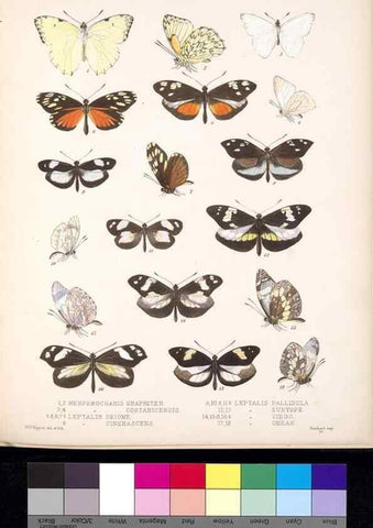 Reproducción/Reproduction 35729783861: Biologia Centrali-Americana :. [London :Published for the editors by R. H. Porter],1879-1915