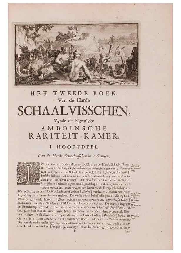 Reproducción/Reproduction 36279476843: D'Amboinsche Rariteitkamer ... :. T'Amsterdam :Gedrukt by François Halma,1705.
