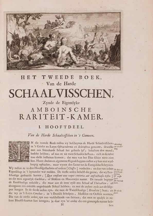 Reproducción/Reproduction 36279476843: D'Amboinsche Rariteitkamer ... :. T'Amsterdam :Gedrukt by François Halma,1705.