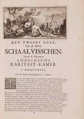 Reproducción/Reproduction 36279476843: D'Amboinsche Rariteitkamer ... :. T'Amsterdam :Gedrukt by François Halma,1705.