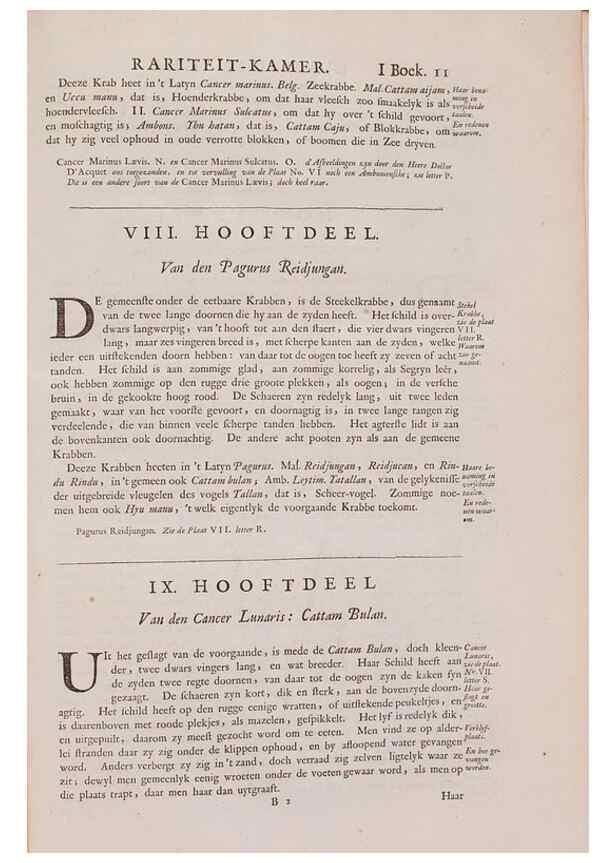 Reproducción/Reproduction 36257421664: D'Amboinsche Rariteitkamer ... :. T'Amsterdam :Gedrukt by François Halma,1705.