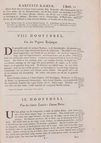 Reproducción/Reproduction 36257421664: D'Amboinsche Rariteitkamer ... :. T'Amsterdam :Gedrukt by François Halma,1705.