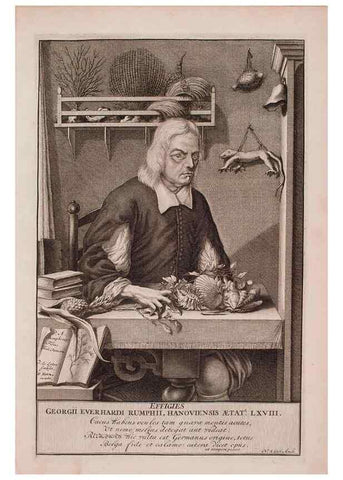 Reproducción/Reproduction 36696101210: D'Amboinsche Rariteitkamer ... :. T'Amsterdam :Gedrukt by François Halma,1705.