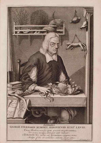 Reproducción/Reproduction 36696101210: D'Amboinsche Rariteitkamer ... :. T'Amsterdam :Gedrukt by François Halma,1705.