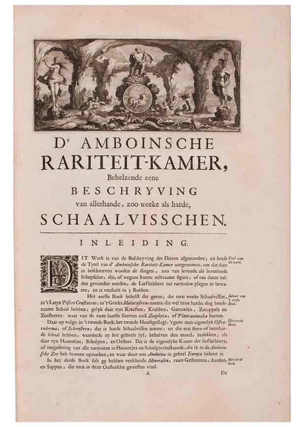 Reproducción/Reproduction 36696103010: D'Amboinsche Rariteitkamer ... :. T'Amsterdam :Gedrukt by François Halma,1705.