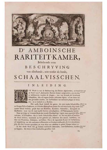Reproducción/Reproduction 36696103010: D'Amboinsche Rariteitkamer ... :. T'Amsterdam :Gedrukt by François Halma,1705.